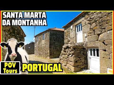 Portugalia rurale pa turistë (vetëm lopë): Santa Marta da Montanha