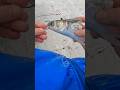 How To Catch BIG Redfish