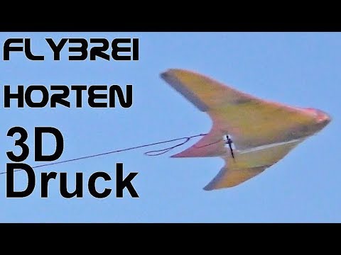 RC Horten 3D printer brushless motor  maiden flight RC-PLANE HO-229 GO-229 RC-Modellbau