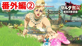 【実況】定年を迎えた父を再びハイラルの大地に放り込むPart25【ゼルダ無双 厄災の黙示録】