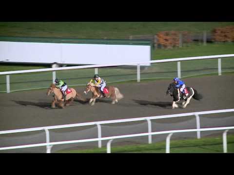 Christmas Pony Derby December 6th 2013