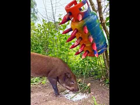 Incredible Traps 💀