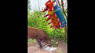 Incredible Traps 💀