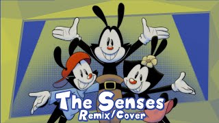 The Senses (Jakeneutron Remix/Cover)