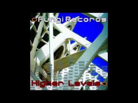 The Misted Muppet - Secret Channels