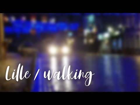 Walking  in Lille