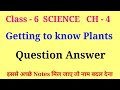 Getting To Know Plants Class 6 Questions And Answers Class 6 Science Chapter 4 Question Answer