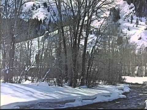 Learning Russian   Russian World   Lesson 64