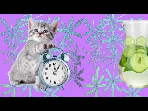 Macka B – Cucumber (Populous e DJ Royal Mint Edit)