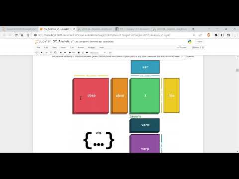Single Cell data analysis tutorial on PBMC dataset using scanpy - Part1