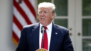 Tysk ministerium har faktatjekket Trump - og det ser ikke godt ud