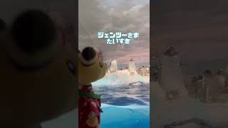 名古屋港水族館たいすき #水族館 #デンリュウ