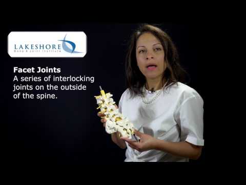 Dr. Anita Rao Explains Lumbar Facet Steroid Injections