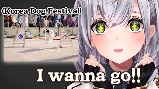【ENG Subs】How a Noel's trip to Korea turned into a wild boat plan(Hololive)