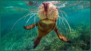 Thumbnail del capítulo