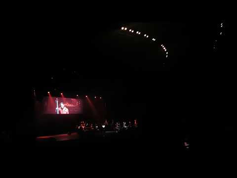 2CELLOS Usually spech from Stjepan about ladies 29.05.2018 Moscow