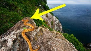 People Are Forbidden From Setting Foot On This Island For A Very Disturbing Reason