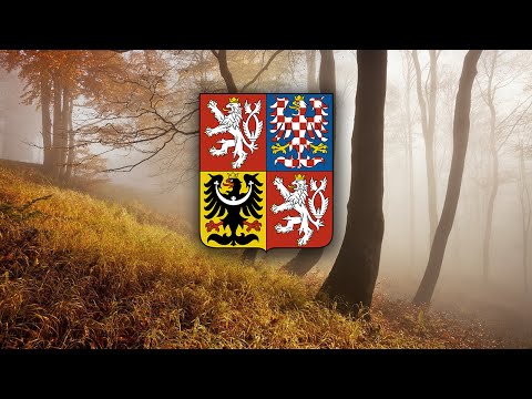 Czech March - "Florentinský pochod" (Instrumental)