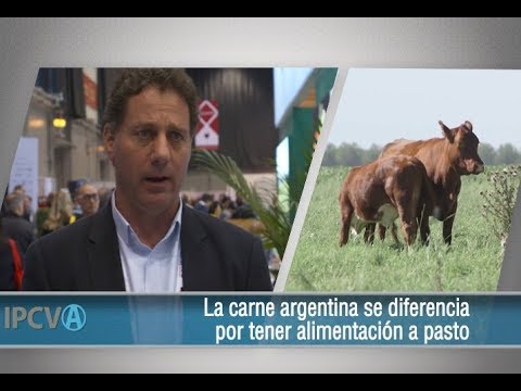 1658 - "Qué diferencia a la carne angus argentina", Alejandro Salemme (30/05/2019)