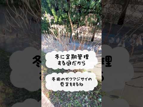 キョウチクトウのさやの使い方は？庭師のためのヒント  庭園