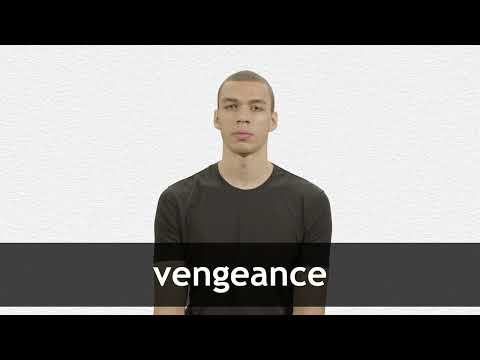 VENGEANCE definition in American English