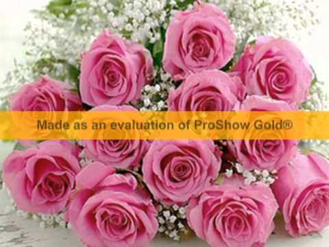 happy birth day to u Walid