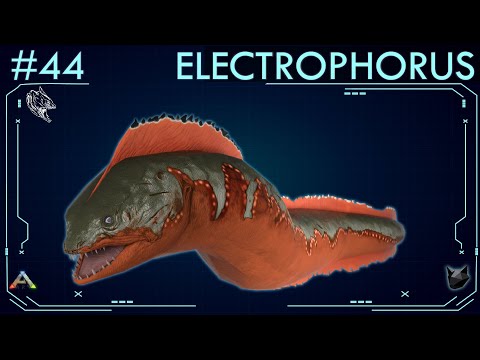 ALL ABOUT ELECTROPHORUS (#44) - ARK: Survival Evolved - The Island Dossiers