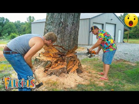 TOTAL IDIOTS AT WORK | Instant Regret Fails Compilation 2025 | Best fail of the week😂 #63