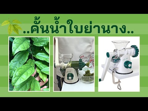 การบำบัดสีสำหรับโรคสะเก็ดเงิน รักษาที่ดีที่สุดของโรคสะเก็ดเงินบนมือและฝ่ามือ