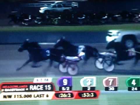 2008 Hambletonian Day - Race 15 - N/W 15,000 Last 6