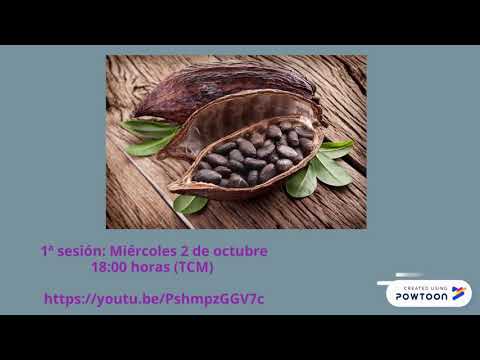 Museu Mundo de Chocolate / Recorrido virtual PLSEP
