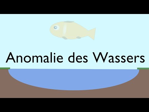 Die Anomalie des Wassers - DayPeak