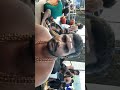 Sabarimalai Yathirai End சபரிமலை சென்ற போது ஐயன் தரி�