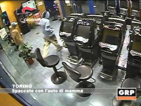 Torino: Spaccate con l' auto di mamma - GRP Televisione