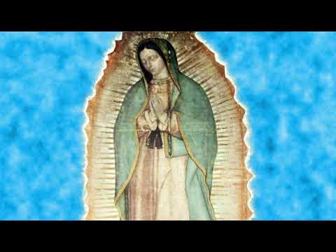 Melodia Celestial para orar,  descubierta en el manto de la Virgen  de Guadalupe