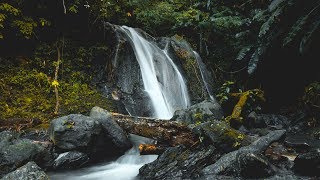 Secrets of North Trinidad - New Vlog Segment!