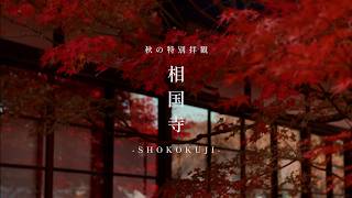 2026年 相国寺 秋の特別拝観