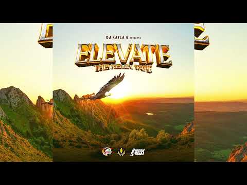 DJ Kayla G - ELEVATE: The Dancehall & Soca REMIX TAPE (2024 Mixtape) @RIDDIMSTREAM