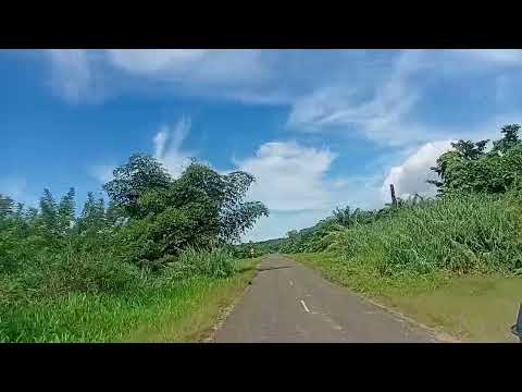 Buluminski Highway, NIP,