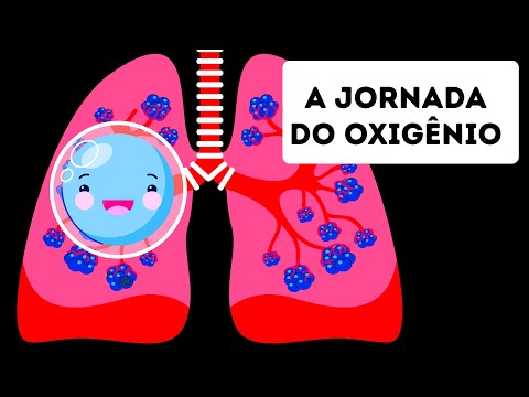 A viagem do oxigênio através do nosso corpo