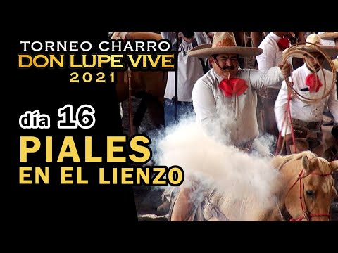 PIALES EN EL LIENZO dia 16 - Torneo Don Lupe Vive 2021