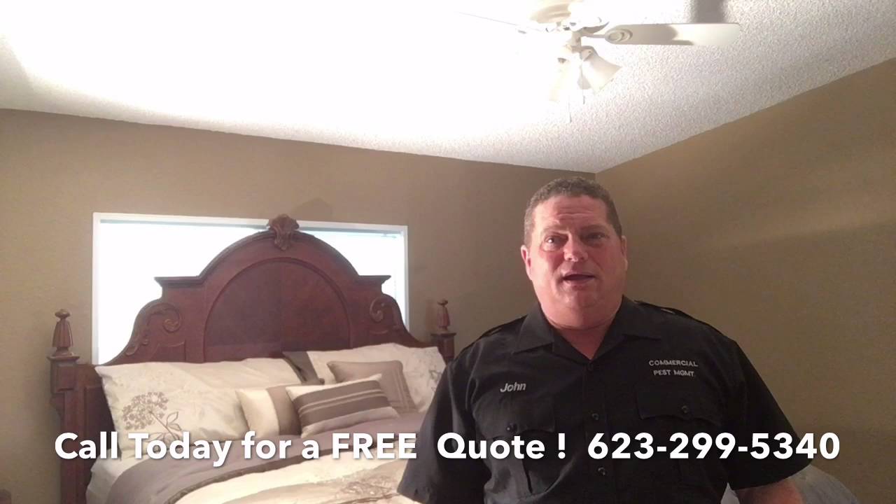 Bed Bug Control - Commercial Pest Management Phoenix