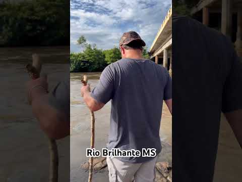 Ponte próximo ao Rio Brilhante MS #capybara #riobrilhante #turismo #douradosms