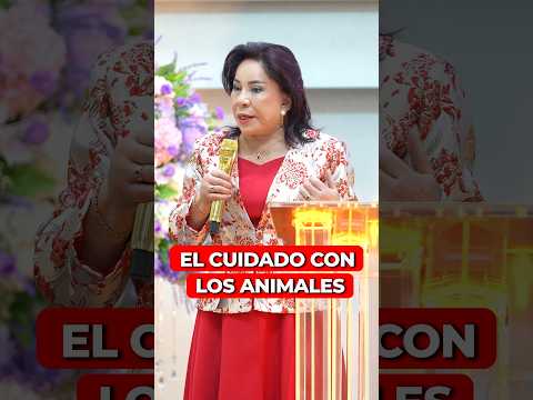 El cuidado con los animales - Hermana María Luisa Piraquive #IDMJI #AmorPorLosAnimales