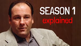 THE SOPRANOS Season 1 Explained - Recap & Breakdown