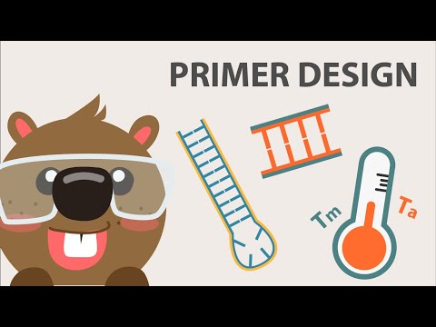 Primer Design: Important Considerations and Tips for Good Primer Design