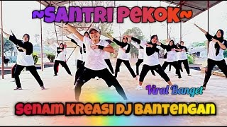 Download lagu SANTRI PEKOK | DJ BANTENGAN | #senam #viral mp3 Download lagu SANTRI PEKOK | DJ BANTENGAN | #senam #viral mp3