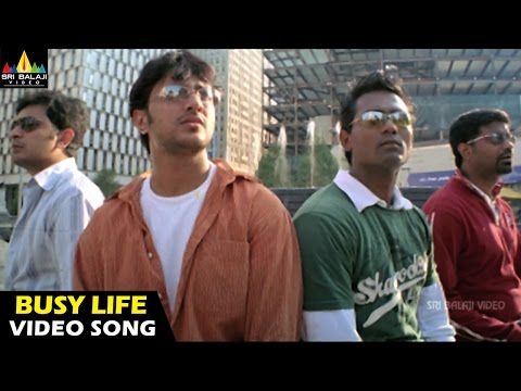 Vennela Songs | Busy Life Video Song | Raja, Parvati Melton | Sri Balaji Video