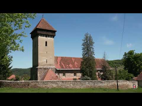 Saxon Villages of Transylvania - Malancrav, Breite Oak Tree Reserve