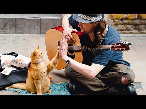 樹齢約13,000年:猫と人間の深い絆